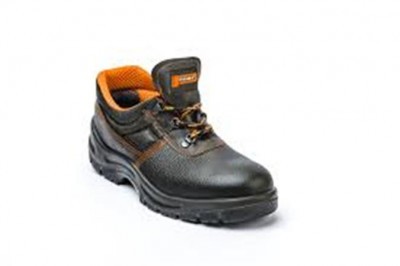 ERGON BETA S1 SRC